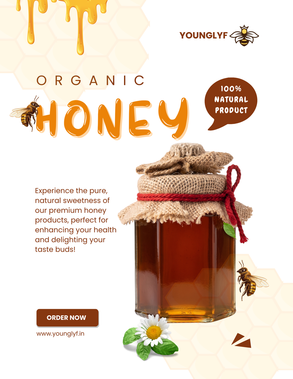 Younglyf Ginger Infused Honey - 300ml | Natural Immunity Booster